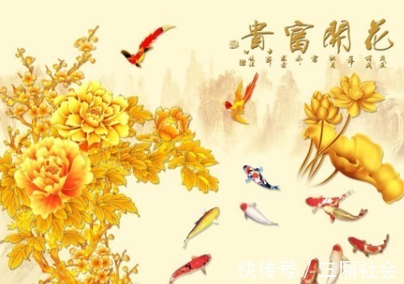 三五结合秋意浓是什么生肖请全面释义、解释与落实、构建解答解释落实