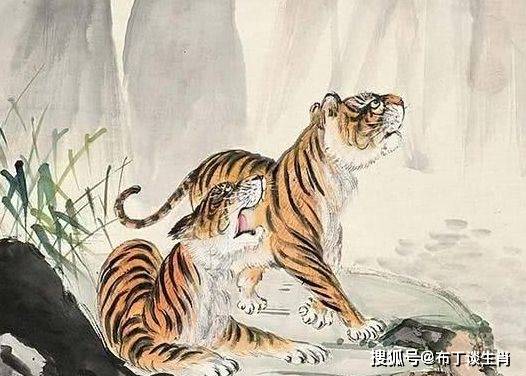 八面玲珑金光瑶,左右逢源紫气丹指什么生肖,警惕虚假宣传落实,专家解答解释落实