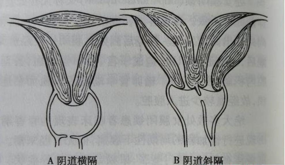 今期狗猴龙出特,四不两立长恨丽代表是指什么生肖，详细解答、专家解答解释落实