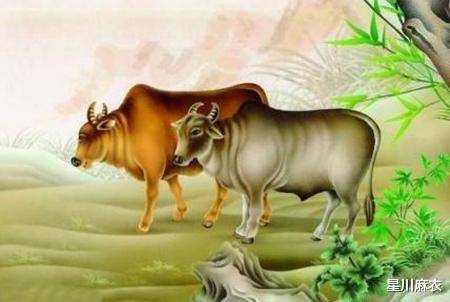 八面玲珑金光瑶,左右逢源紫气丹指什么生肖,警惕虚假宣传落实,专家解答解释落实