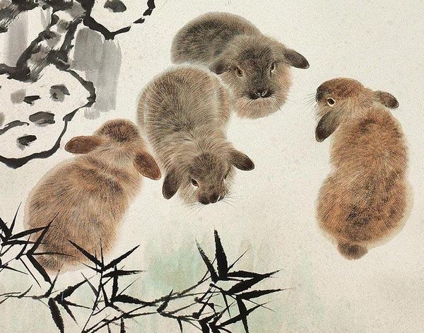 欲钱找最最忙的动物打一准确生肖,警惕虚假宣传,统计解答解释落实