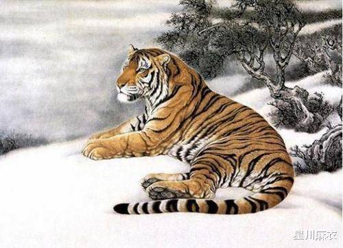 大显身手无人敌猜一生肖,警惕虚假宣传、全面解答、实时解答解释落实